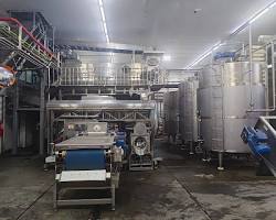 Unlocking Quality in Food Production: A Deep Dive into Euroserum Dairy Ingredients